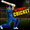 imagen Ultimate Cricket