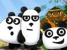 image 3 Pandas