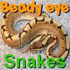 image Beady Eye – Snakes