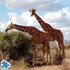 imagen Giraffes Jigsaw Puzzle