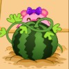 imagen Happy Watermelon Farm