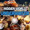 image Hidden World: Underwater