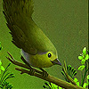 image Hungry goldcrest slide puzzle