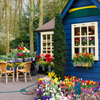 image Jigsaw: Blue Cottage