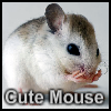 image Mouse cute