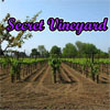 imagen Secret Vineyard