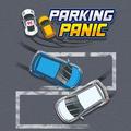 image Parking Panic